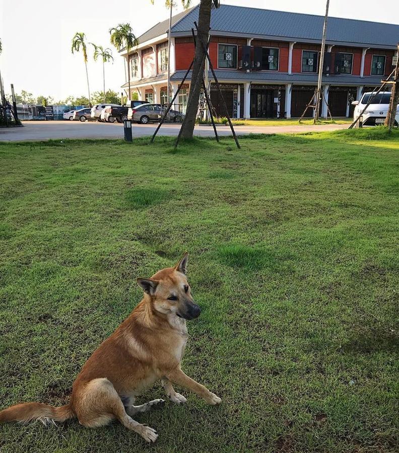 Barandbed Urt Hostel Surat Thani Exterior foto